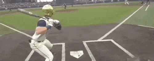 World Series Baseball GIF by NCAA Championships