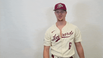 Baseball Roll Pards GIF by Lafayette Leopards