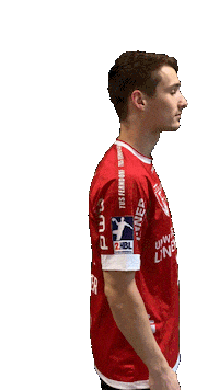 Handball Sticker by tusferndorf