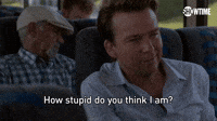 How Stupid Do You Think I Am?