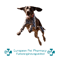 Epp Canicross Sticker by Europeanpetpharmacy