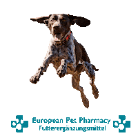 Canicross Sticker by Europeanpetpharmacy