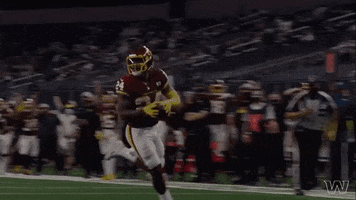 Washington Football Team GIF by Washington Commanders