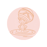Zodiac Signs Sticker by Femi Stories