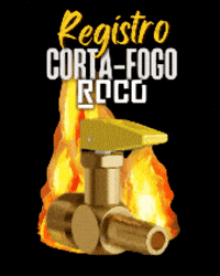 Roco GIF by CanalRoco
