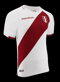 TeApuestoOficial football soccer money win GIF