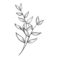 Plants Leaves Sticker