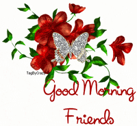 Good Morning GIF