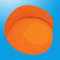 florida gators football GIF by University of Florida