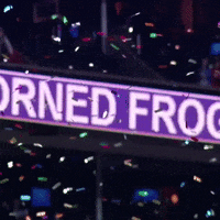 College Football GIF by TCU Athletics