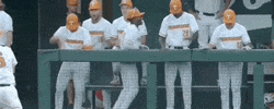 World Series Baseball GIF by NCAA Championships