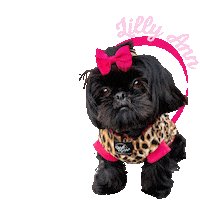 Dog Kisses Sticker
