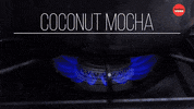 International Coffee Day GIF by BuzzFeed