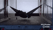 season 1 summer GIF by Showtime