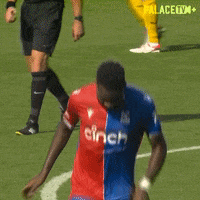 Celebrate Premier League GIF by Crystal Palace Football Club