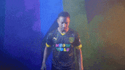 Meow Wolf Home Kit GIF by New Mexico United