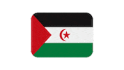 emojivid emoji flag emojivid westernsahara Sticker