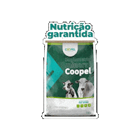 Agro Vaca Sticker by Coopel Agronegócios