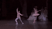 sleeping beauty aurora GIF by New York City Ballet