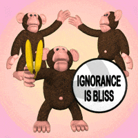 Ignore Ignorance Is Bliss GIF