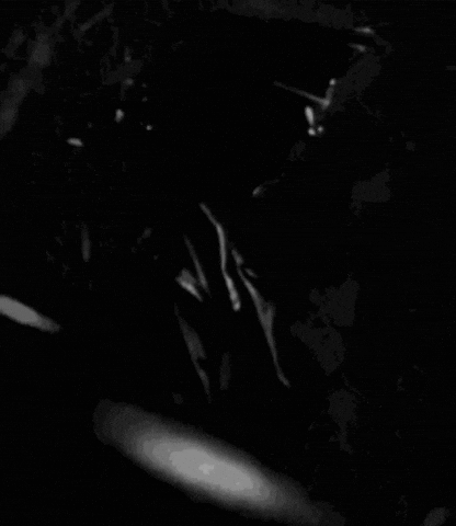 Hell Boy Justice GIF