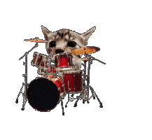 Cat Kitty Sticker