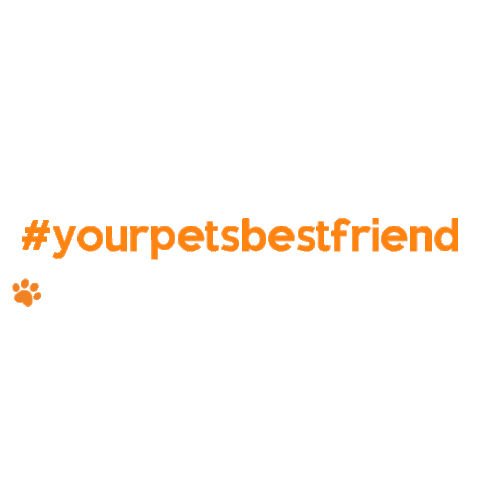 Cats Dogs Sticker by MyPetBuddy