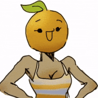 Lets Go Orange GIF