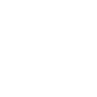 Bird Fly Sticker by POU DOU DOU official
