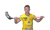 Sport Floorball Sticker by UHT Eggiwil