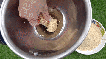 ExperimenMeatGrinder funny meat experiment grinder GIF