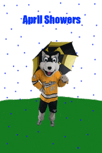 April Showers Flowers Sticker by Michigan Tech