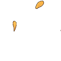 Flowers Blooming Sticker