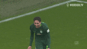 werder bremen bundesliga GIF