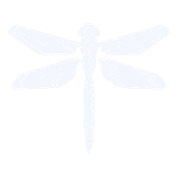 Spring Personalizacion Sticker by Textura Interiors