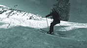 SkiEssentials skiessentials GIF