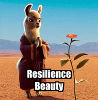 Wisdom Resilience GIF by dalaillamazen