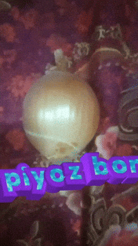 Beda Pres Bor GIF