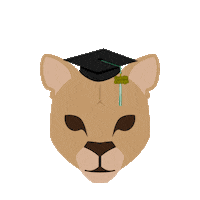 Cuesta Grads Sticker by Cuesta College