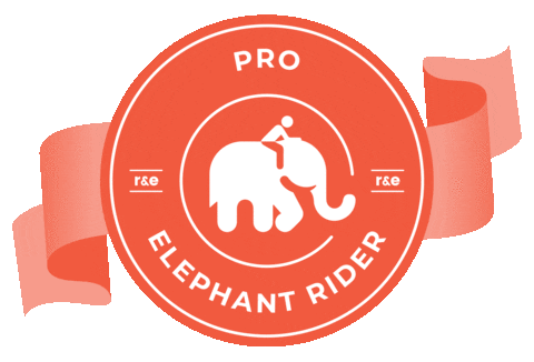 Proelephantrider Sticker by ridersandelephants