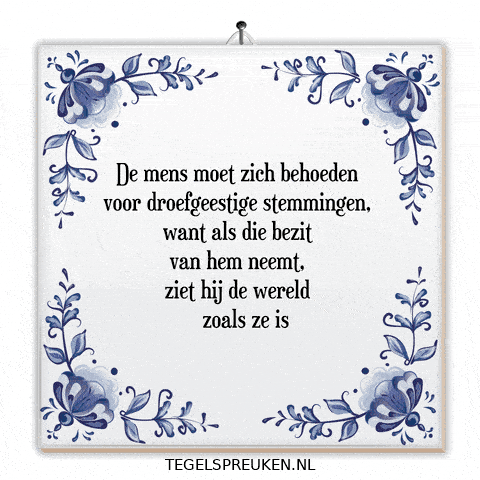 Humor Nl GIF by Tegelspreuken.nl