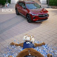 Victory Envision GIF by Buick