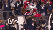Happy Football GIF by New England Patriots