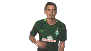 werder bremen what Sticker by Bundesliga