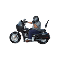 BartelsHarley motorcycle harley harley davidson bartels Sticker