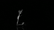 the original high GIF by Adam Lambert