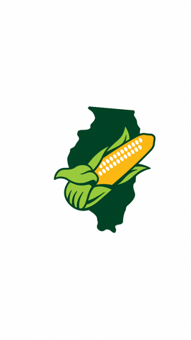 ilcorn giphyupload corn farming illinois GIF