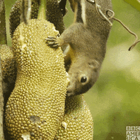 Earth Success GIF by BBC America