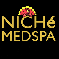 nichemedspa medspa happythanksgiving niche medispa GIF