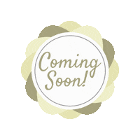 Marketing Ecommerce Sticker by Pippiolinando